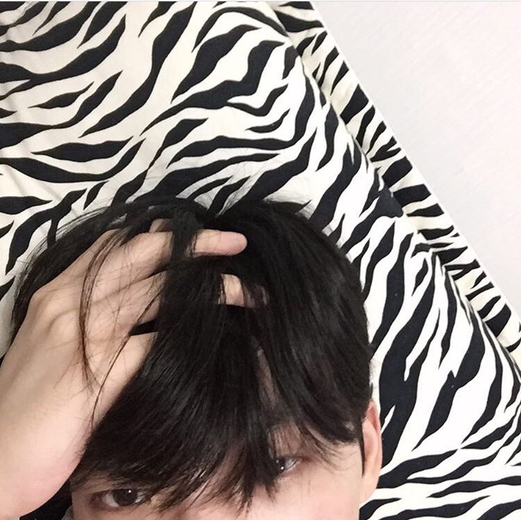 吕霞芬霭