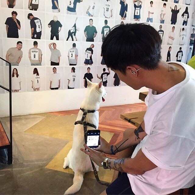 东方宏浩群