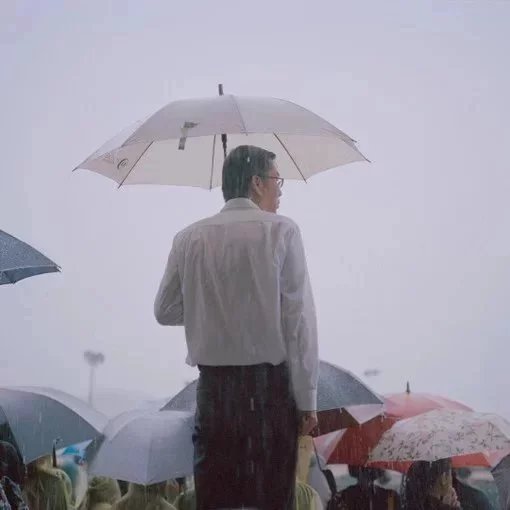 凤博泽群