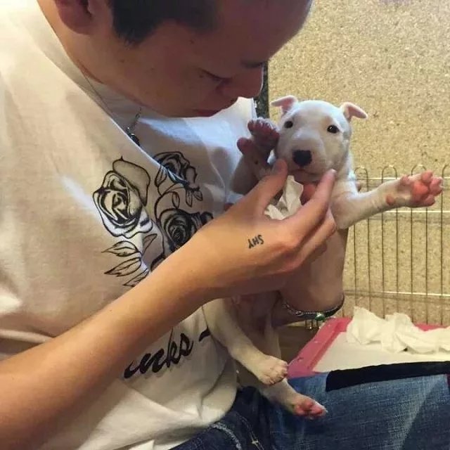 徐春杰伊