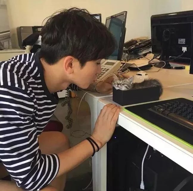 习璧艺程